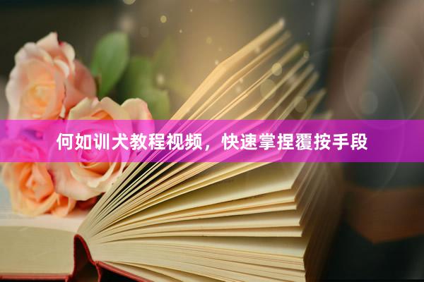何如训犬教程视频，快速掌捏覆按手段