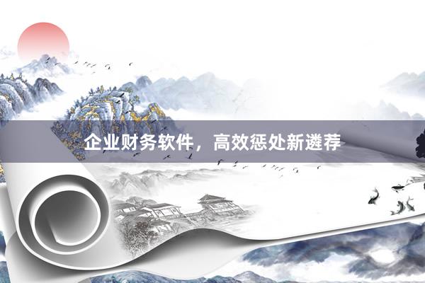 企业财务软件，高效惩处新遴荐