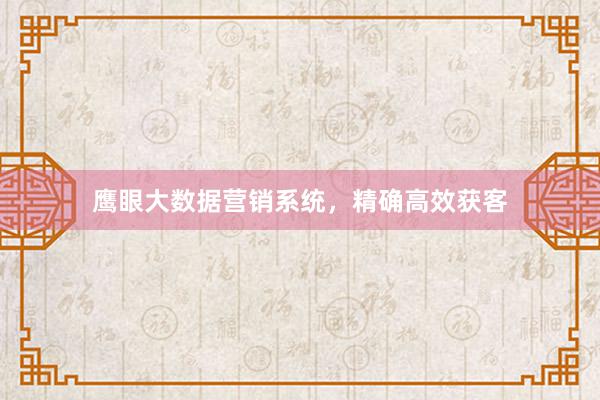 鹰眼大数据营销系统，精确高效获客